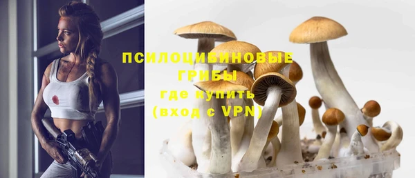 МДМА Лабытнанги