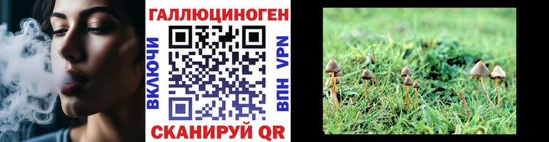 Галлюциногенные грибы GOLDEN TEACHER  купить   Ивдель 